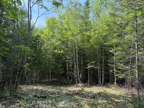 Lot 5 Holley Road Farmington ME 04938