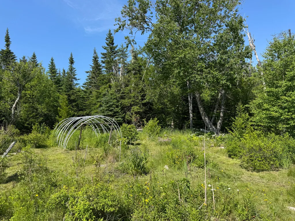 1125 Boot Cove Road Lubec ME 04652