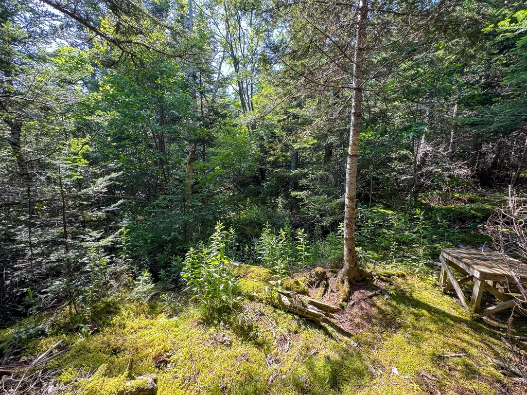 1125 Boot Cove Road Lubec ME 04652