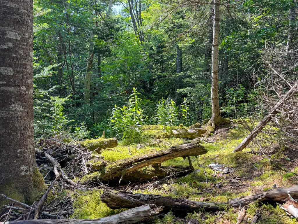 1125 Boot Cove Road Lubec ME 04652