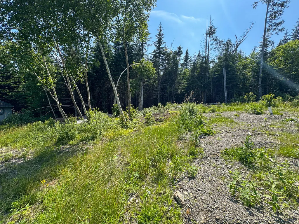 1125 Boot Cove Road Lubec ME 04652
