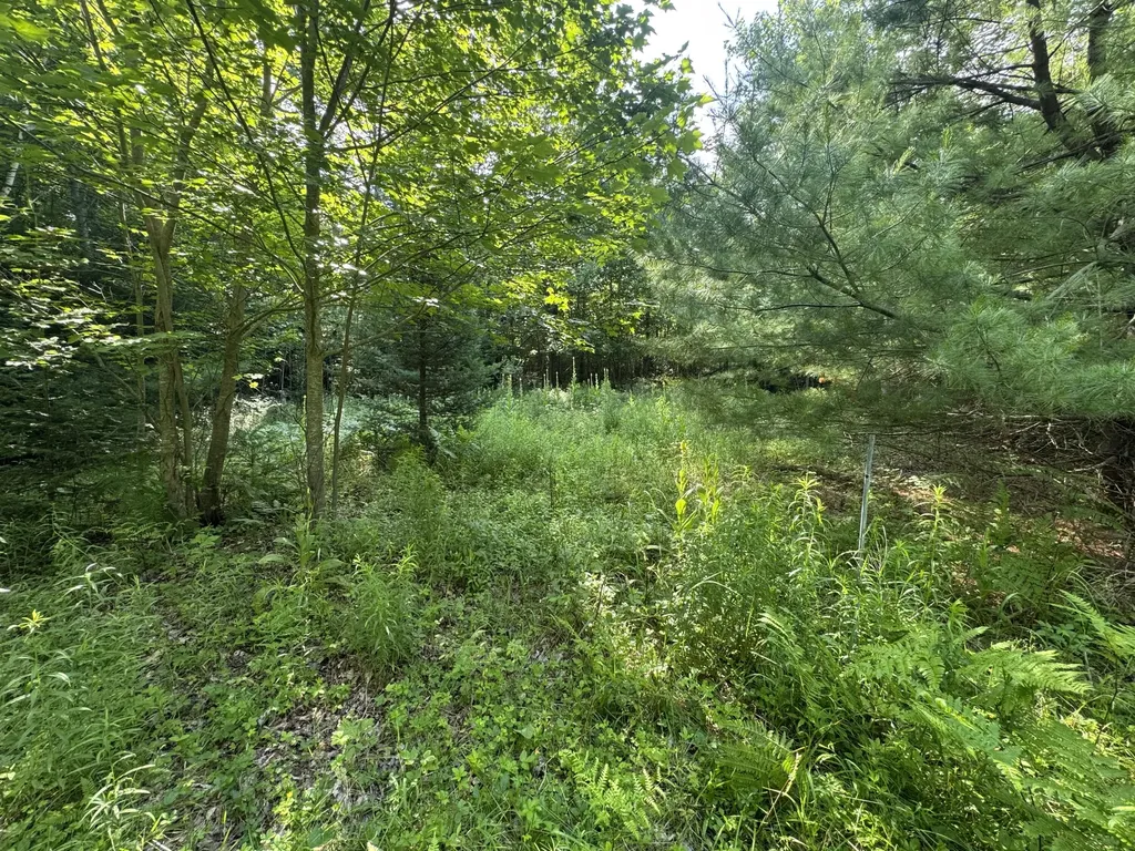 MAP67LOT5 Morrill Road China ME 04358