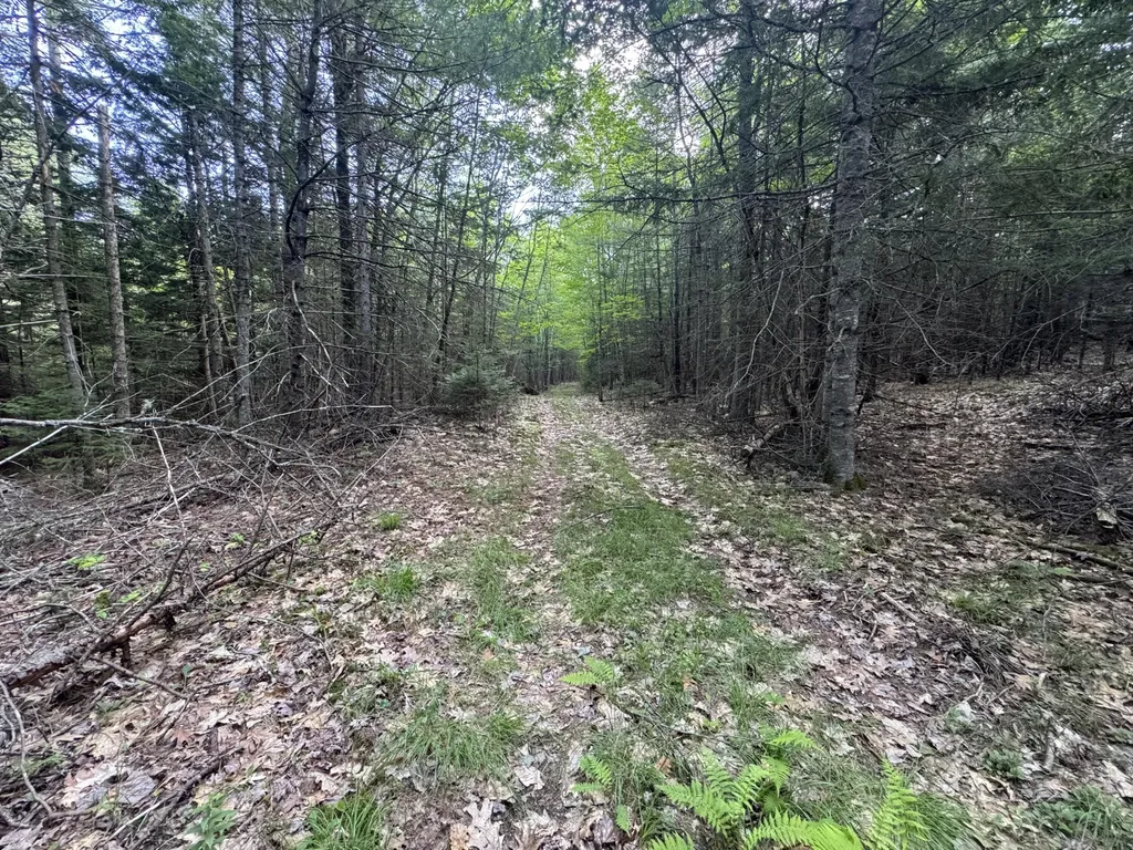 MAP67LOT5 Morrill Road China ME 04358