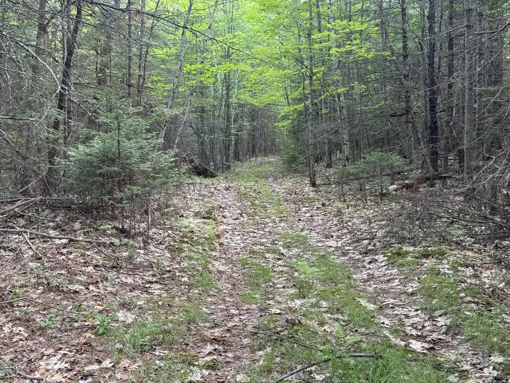 MAP67LOT5 Morrill Road China ME 04358