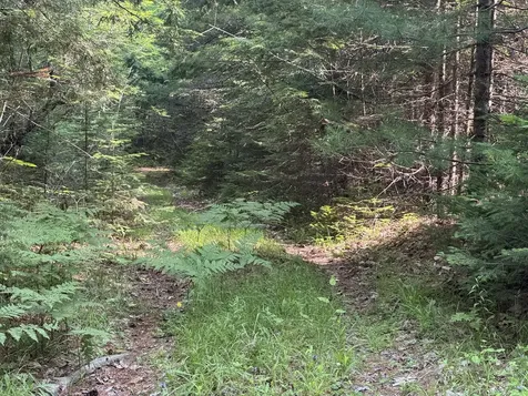 MAP67LOT5 Morrill Road China ME 04358