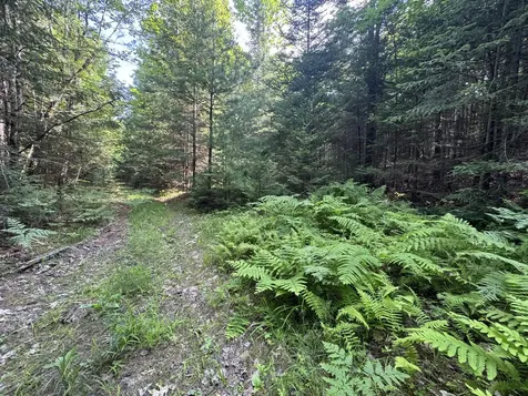 MAP67LOT5 Morrill Road China ME 04358