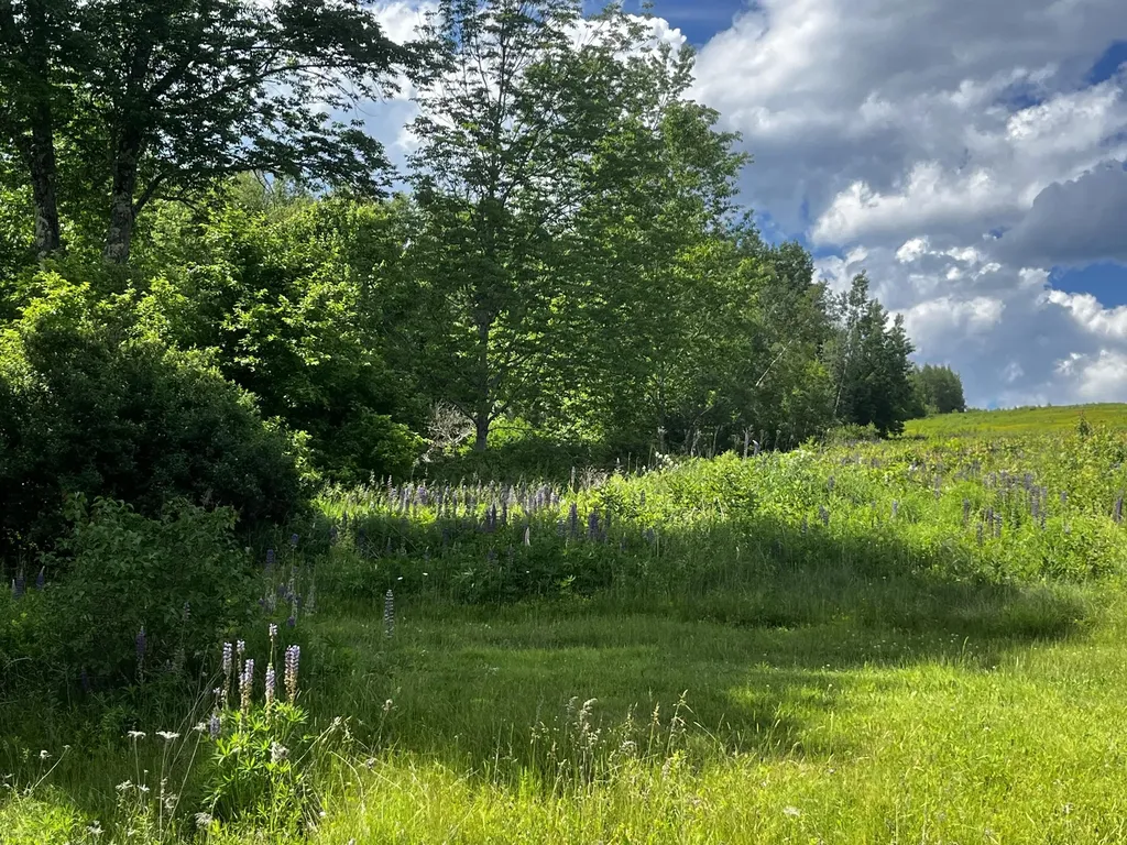 128 Old Airline Road Aurora ME 04408