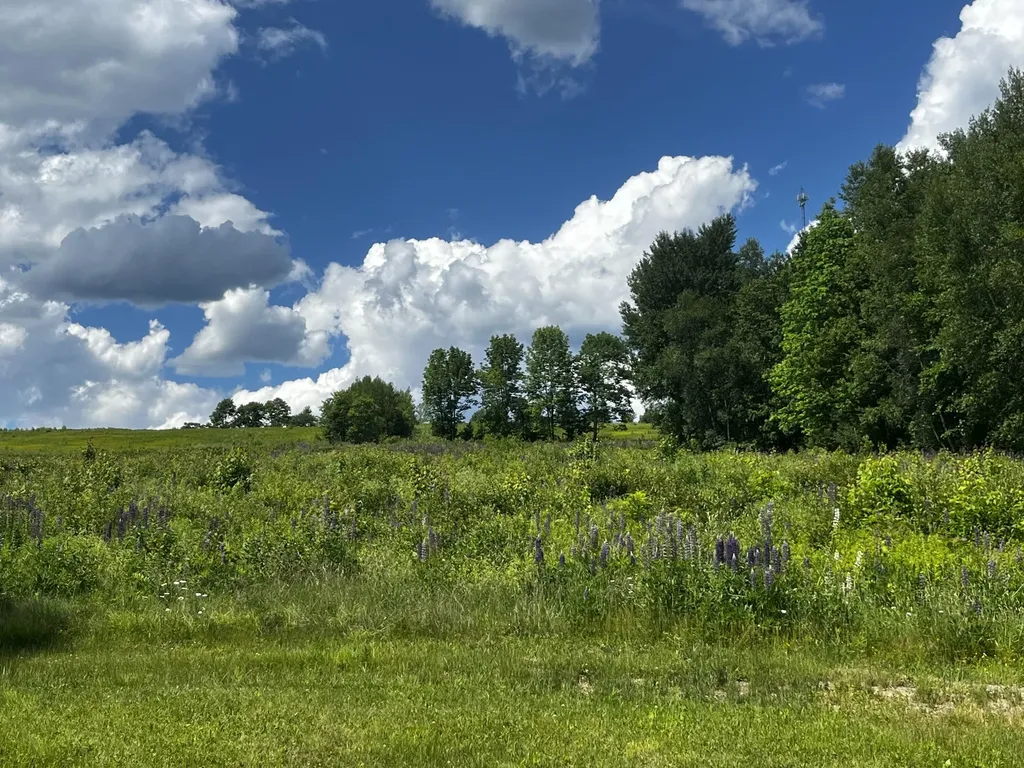 128 Old Airline Road Aurora ME 04408
