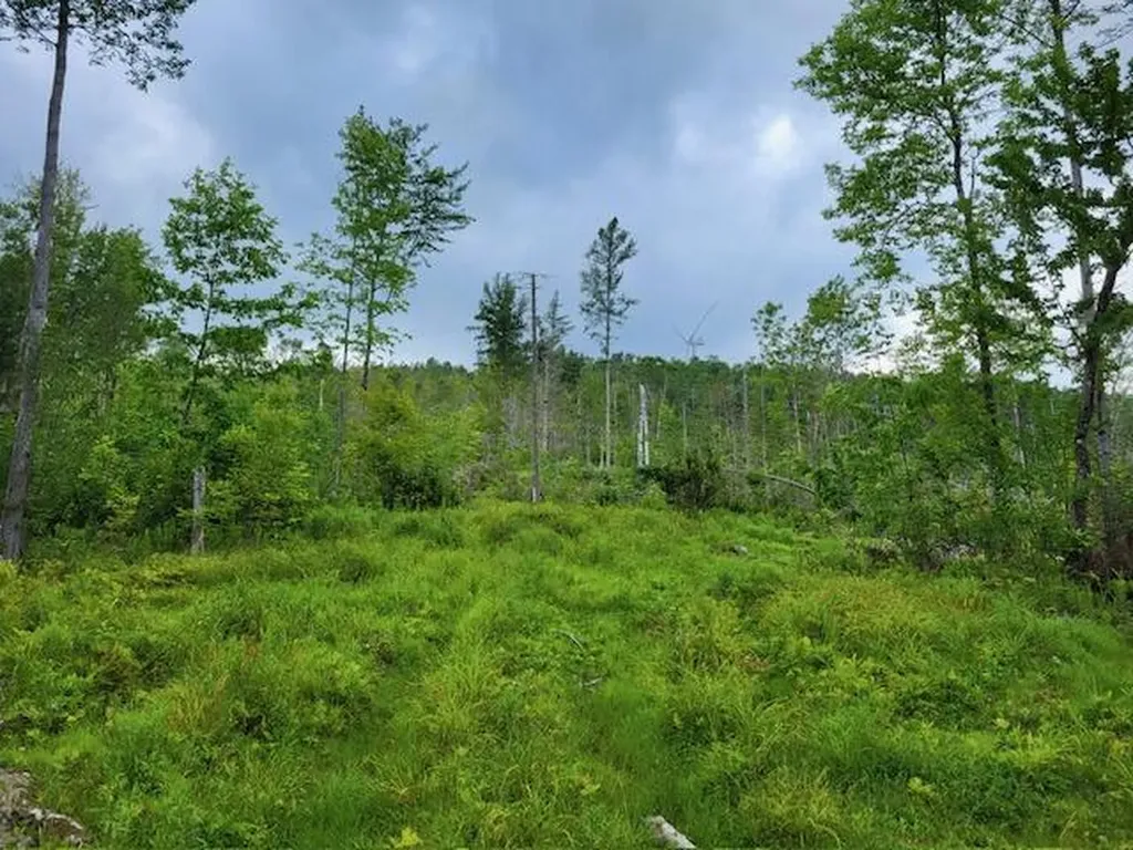 Lot 7 Brown Road Oakfield ME 04763