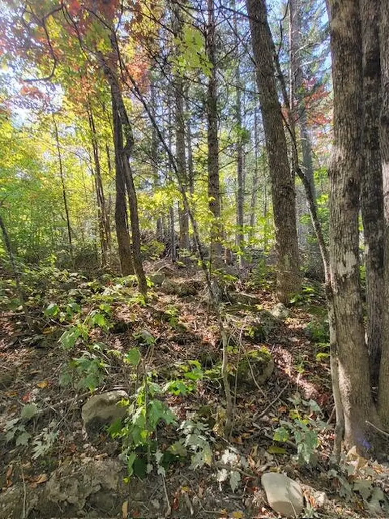 Lot 7 Brown Road Oakfield ME 04763