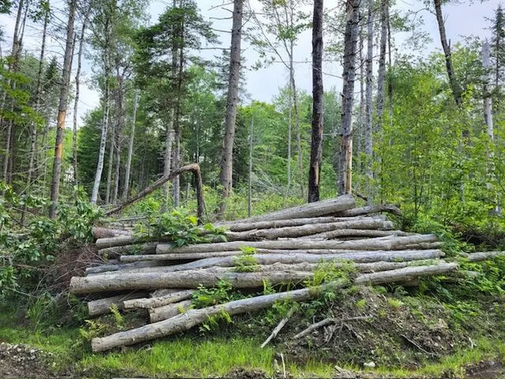Lot 7 Brown Road Oakfield ME 04763