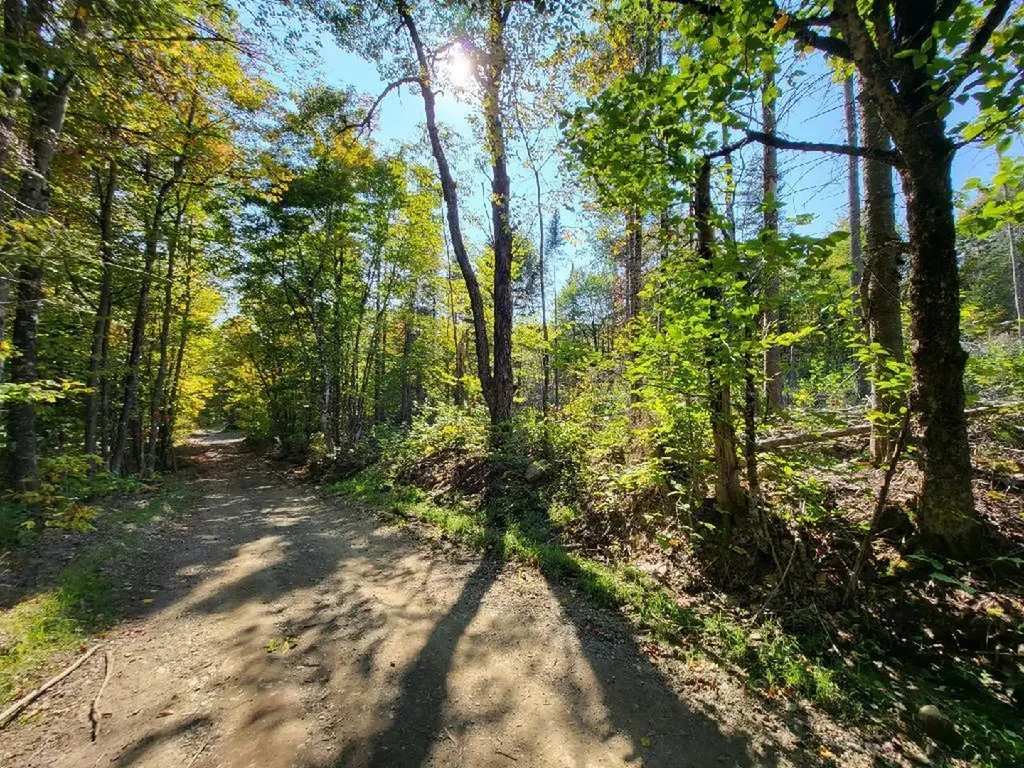 Lot 7 Brown Road Oakfield ME 04763