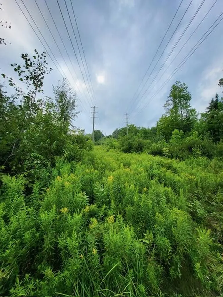 Lot 7 Brown Road Oakfield ME 04763