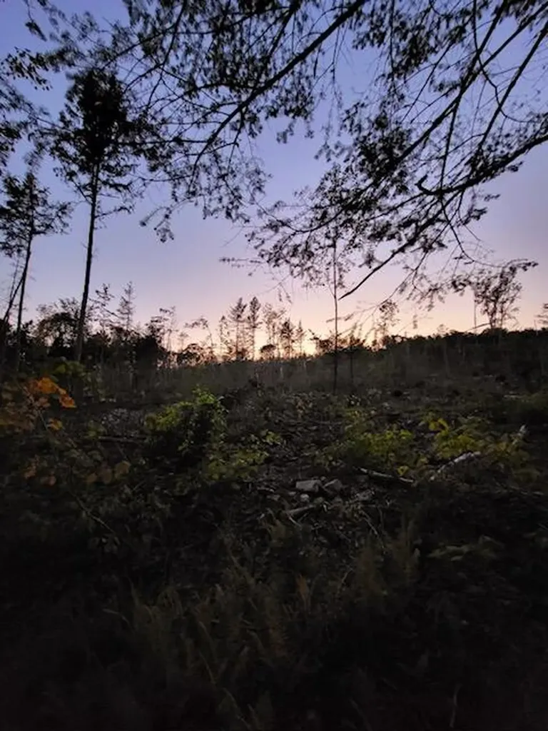 Lot 7 Brown Road Oakfield ME 04763
