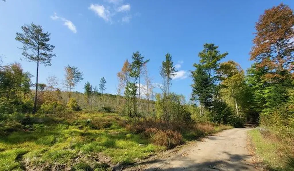 Lot 7 Brown Road Oakfield ME 04763