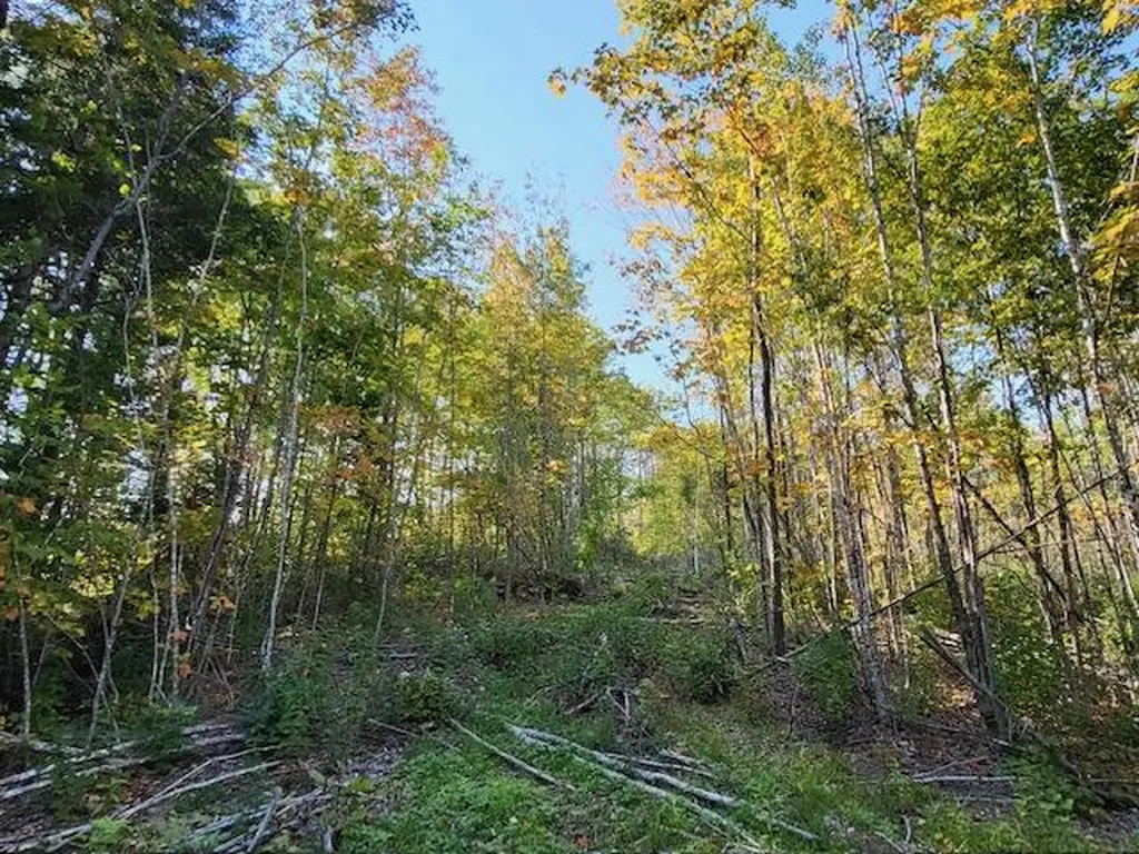 Lot 7 Brown Road Oakfield ME 04763