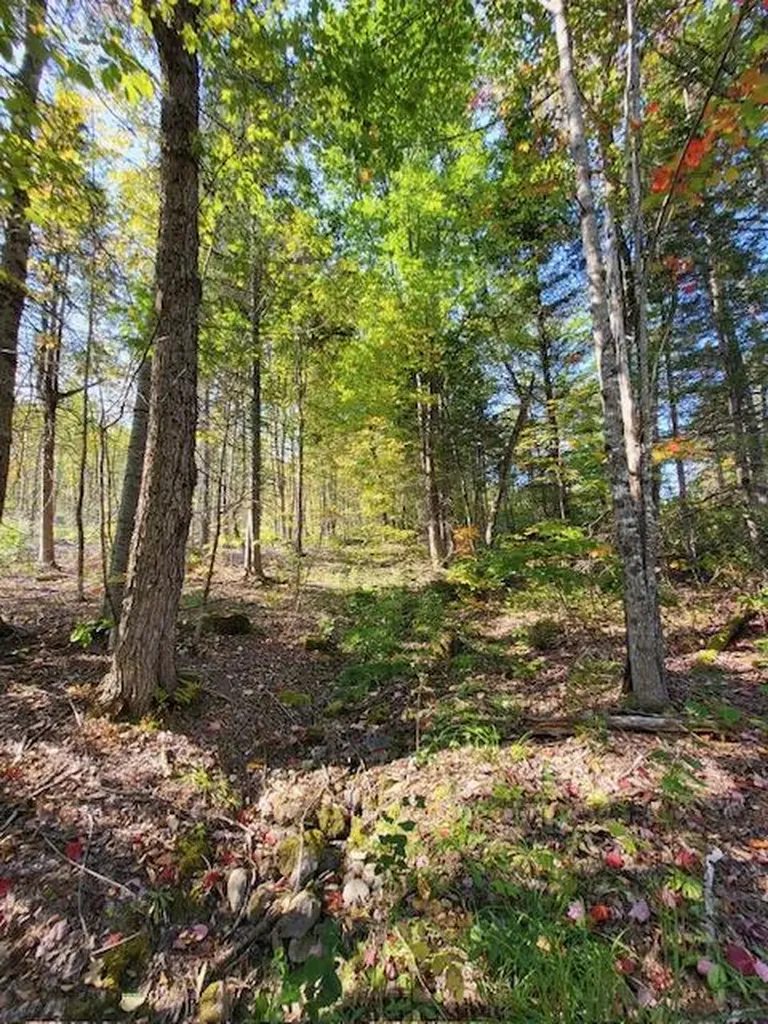 Lot 7 Brown Road Oakfield ME 04763