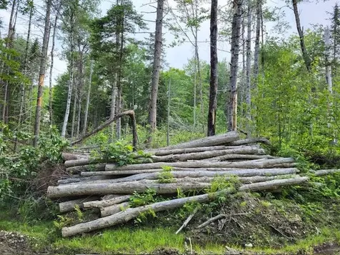 Lot 7 Brown Road Oakfield ME 04763