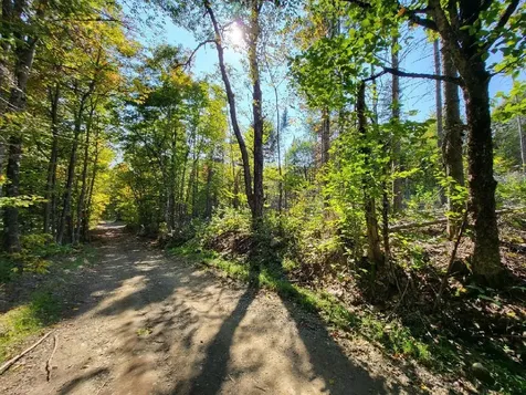 Lot 7 Brown Road Oakfield ME 04763