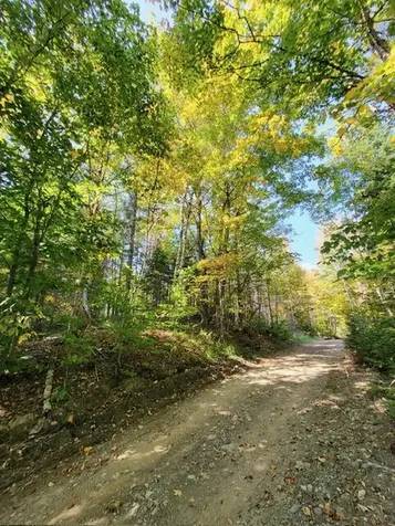 Lot 7 Brown Road Oakfield ME 04763