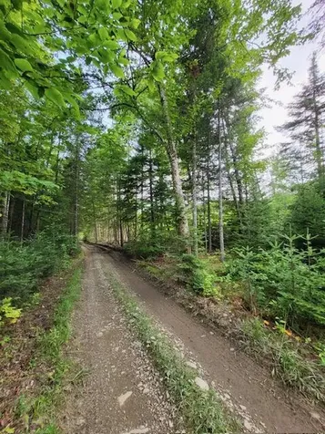 Lot 7 Brown Road Oakfield ME 04763