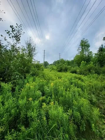 Lot 7 Brown Road Oakfield ME 04763