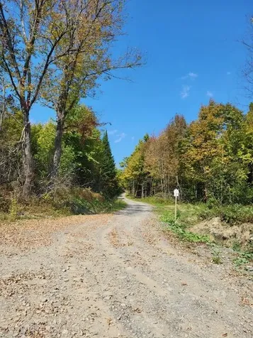 Lot 7 Brown Road Oakfield ME 04763
