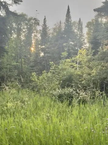 M24 L25b Lavertu Road Madawaska ME 04756