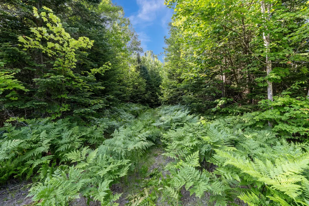 Lot 2- 26 Overlook Drive Eustis ME 04936