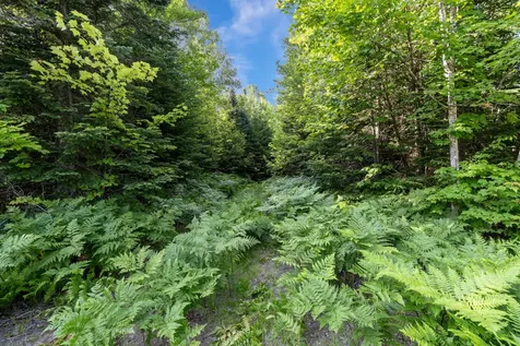 Lot 2- 26 Overlook Drive Eustis ME 04936
