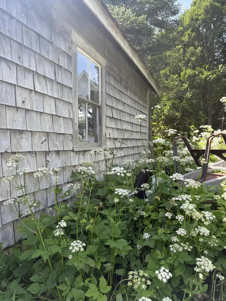 5 Chestnut Street Vinalhaven ME 04863