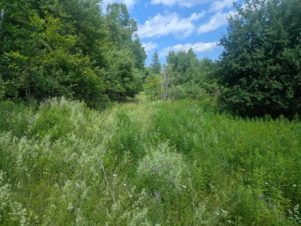 619 Stream Road Winterport ME 04496