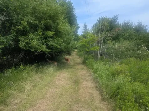 619 Stream Road Winterport ME 04496