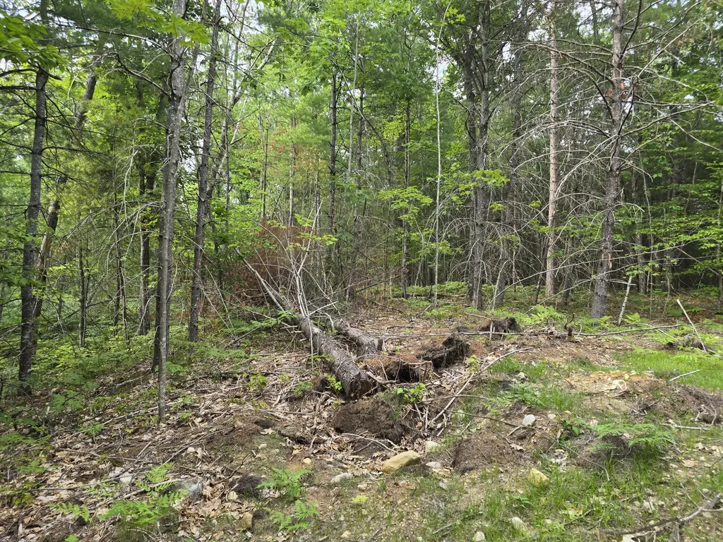 29C Shepherds River Road Brownfield ME 04010