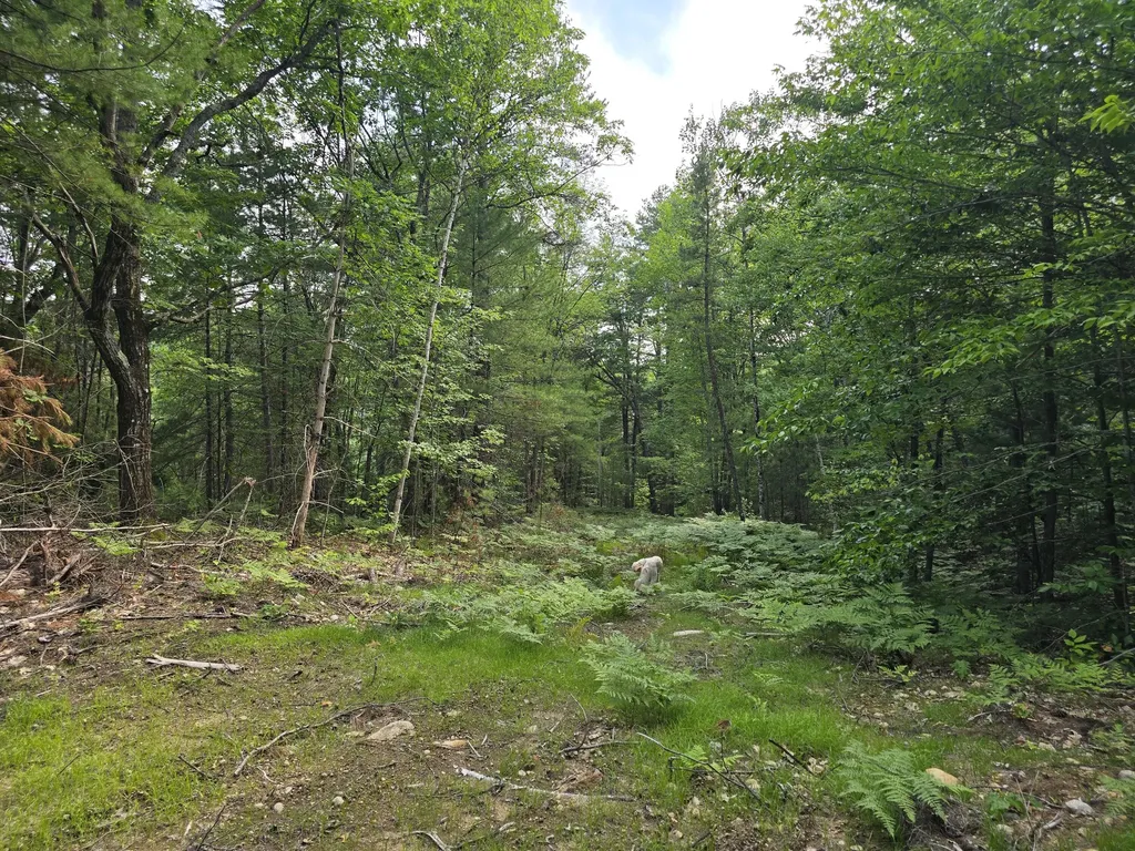29C Shepherds River Road Brownfield ME 04010