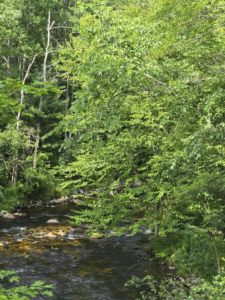 29C Shepherds River Road Brownfield ME 04010