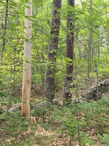 29C Shepherds River Road Brownfield ME 04010