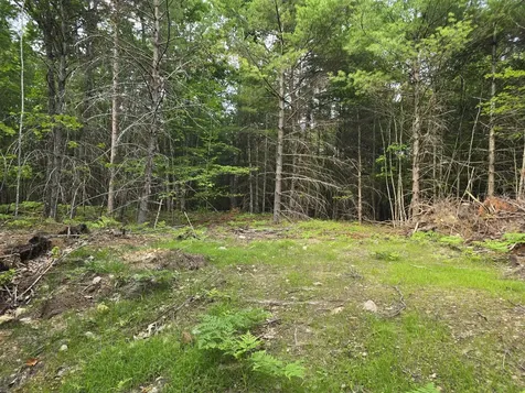 29C Shepherds River Road Brownfield ME 04010