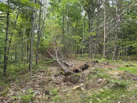 29C Shepherds River Road Brownfield ME 04010