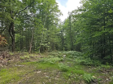 29C Shepherds River Road Brownfield ME 04010