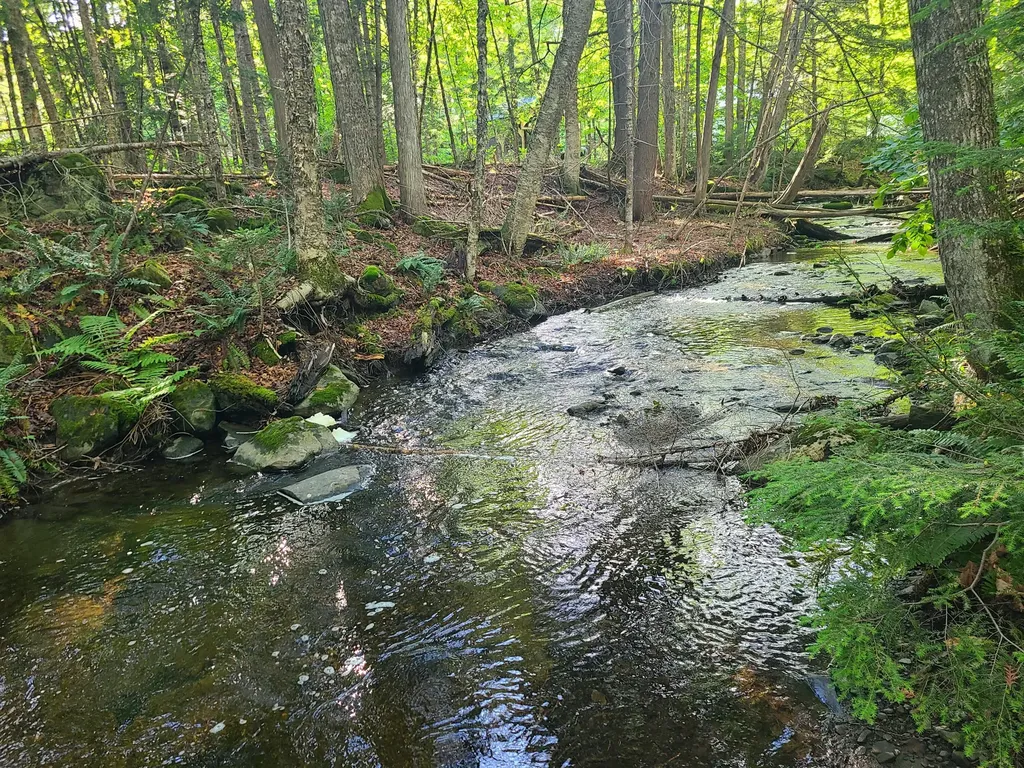 36 Ladd Road Sebec ME 04481