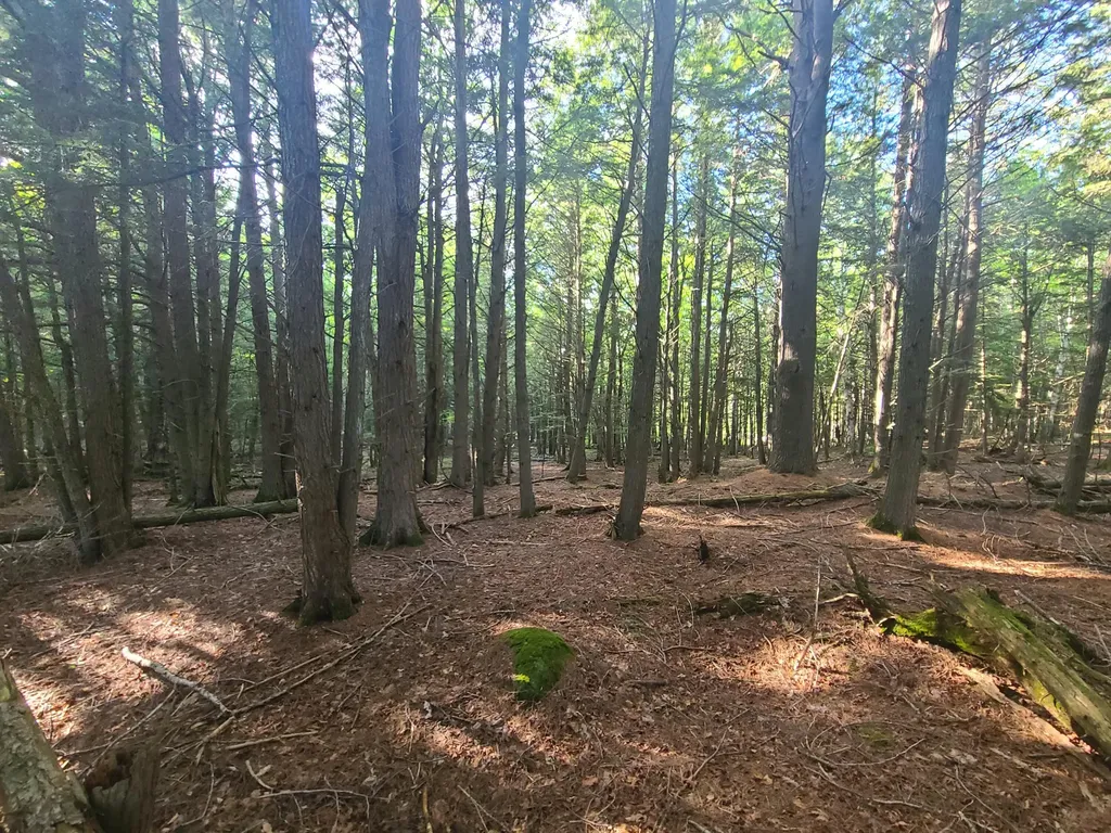 36 Ladd Road Sebec ME 04481