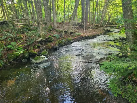 36 Ladd Road Sebec ME 04481