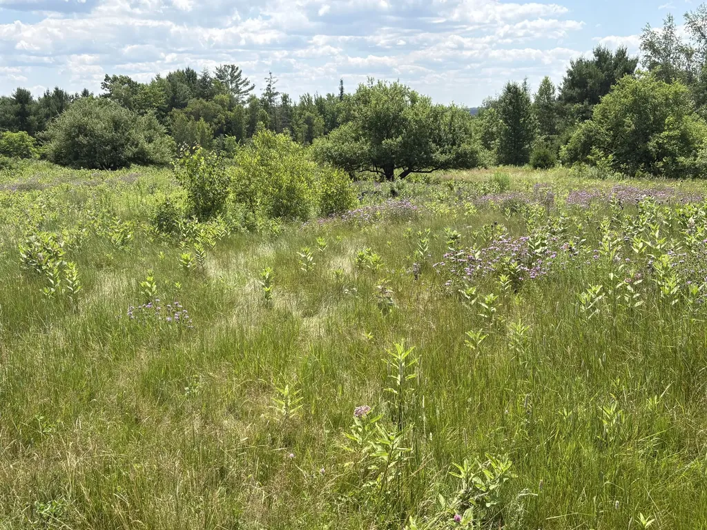 415 Medford Road Milo ME 04463