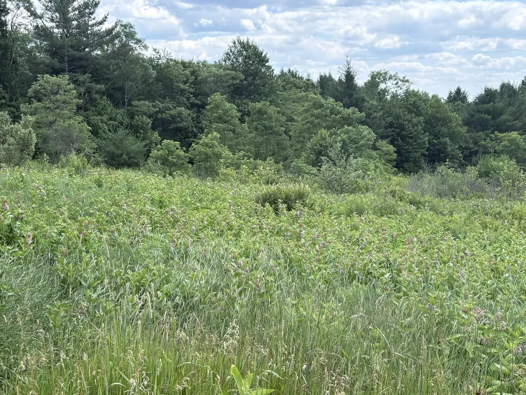 415 Medford Road Milo ME 04463