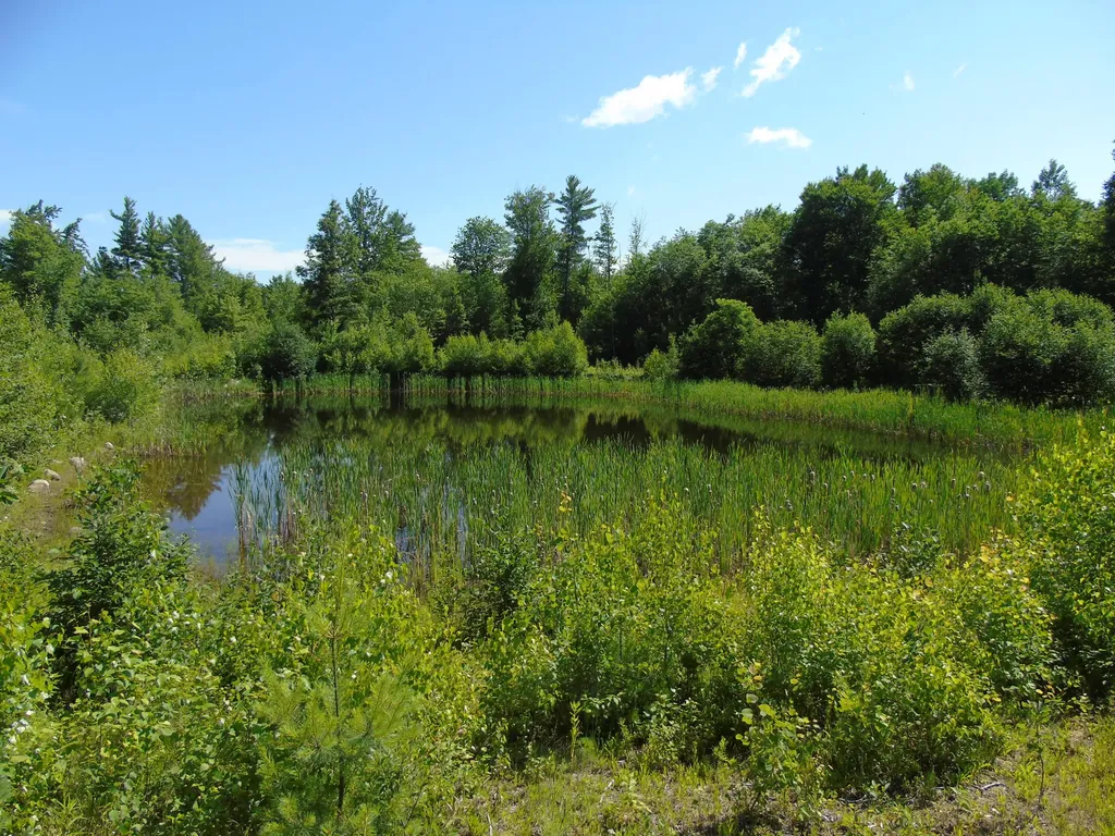 181 Ellingwood Road Paris ME 04281