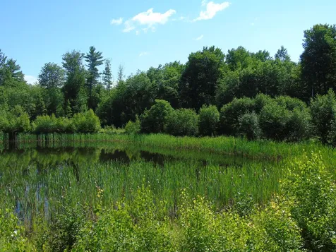 181 Ellingwood Road Paris ME 04281