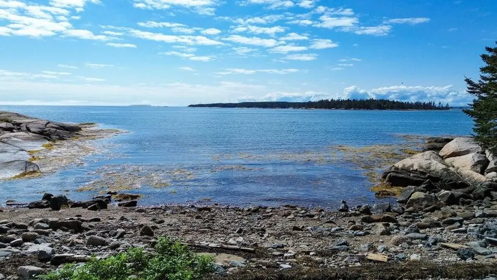 16 Hannah's Cove Beals ME 04611