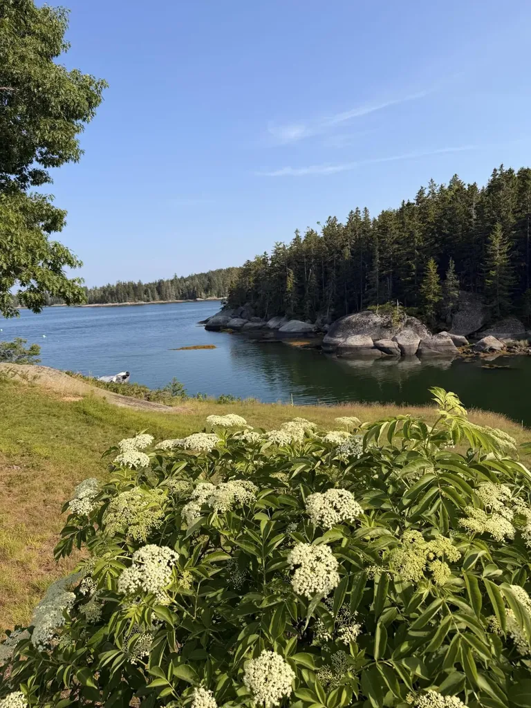 20 Sailors Way Vinalhaven ME 04863
