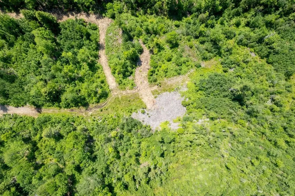 Lot #3 Benson Lane Levant ME 04456